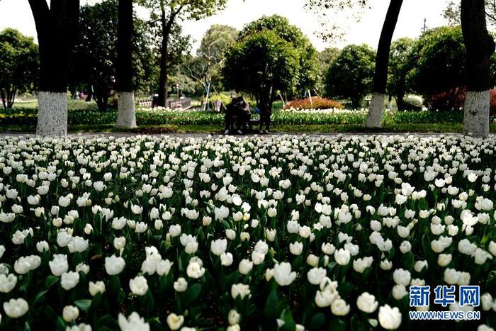 图片默认标题_fororder_1125748323_15847902751561n