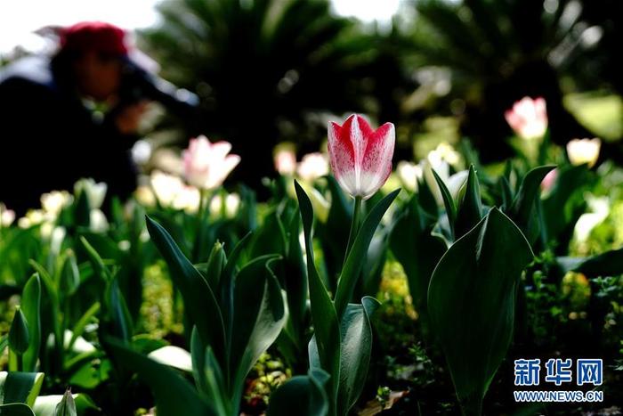 图片默认标题_fororder_1125748323_15847902751111n