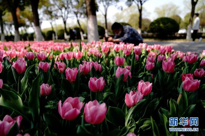 图片默认标题_fororder_1125748323_15847902751971n