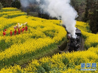 蒸気機関車に乗って、花畑を駆け抜けよう！　四川省