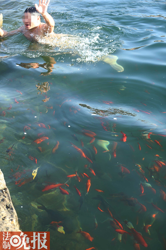 "天体浴池"惊现北京 寒冬难阻裸泳爱好者