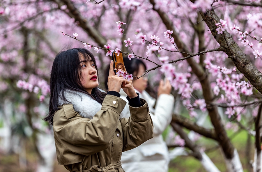 贵州黔西：春暖花开乡村美