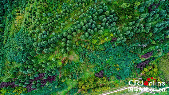 打造陕西靓丽绿色名片 秦岭国家植物园“十一”迎客