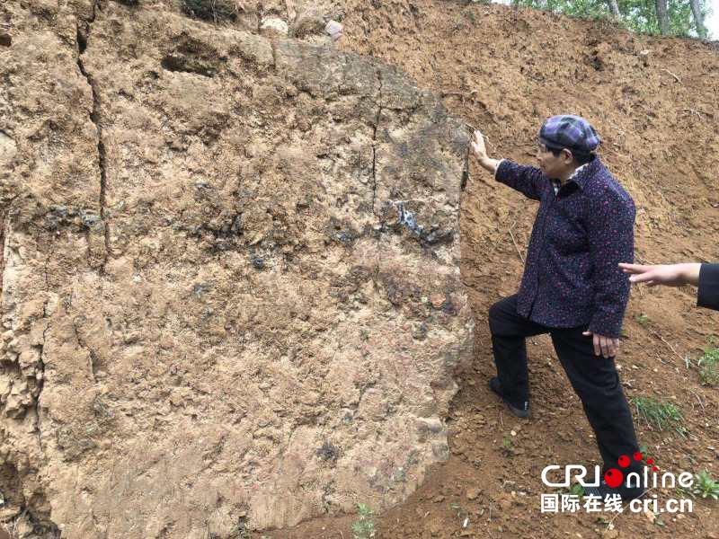 圖片默認標題_fororder_微信圖片_20190501164222