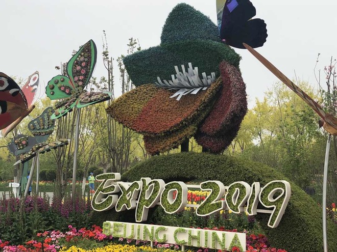 图片默认标题_fororder_sy1