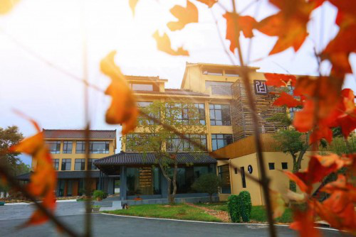 醉美陶都“宜”居处，全域旅游“兴”实践