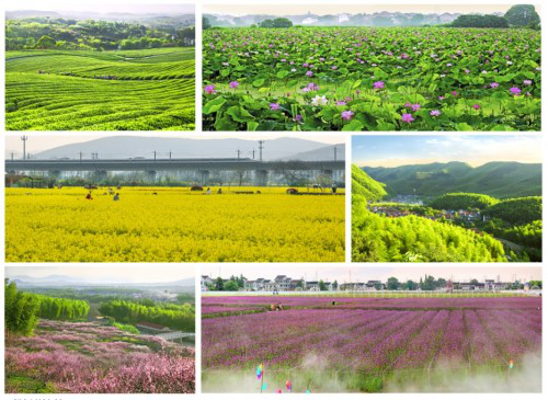 醉美陶都“宜”居处，全域旅游“兴”实践