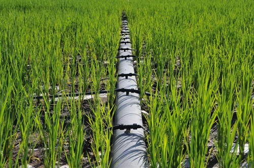 图片默认标题_fororder_%5c%5c172.100.100.3%5ctemp%5c9500031%5c1%5c9500031_1_1_b4f315c1-ea45-4d3b-a51b-c90009ae9218_副本