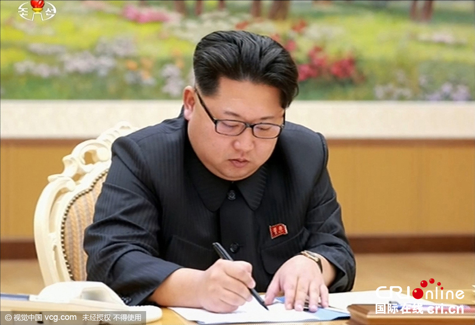 朝鲜总统金成恩图片