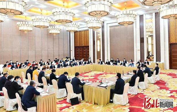 河北省代表团审查计划报告和预算报告 王东峰许勤等发言