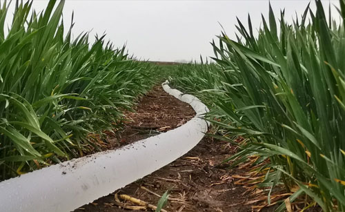 OK【河南供稿】平頂山市寶豐縣：四水同治初效顯 農業灌溉不再難