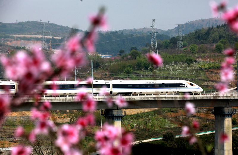 繁花裏的動車（組圖）