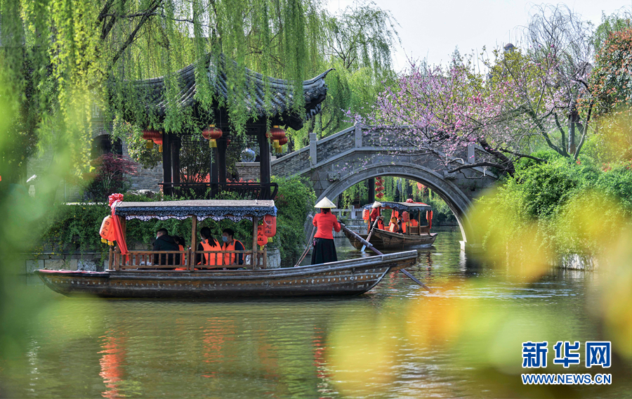 三月的台儿庄古城，踏春赏花正当时！