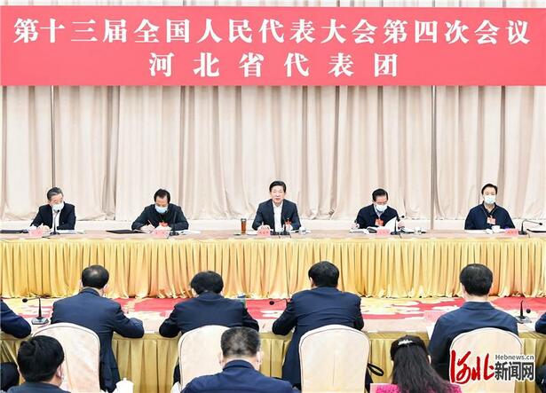 河北省代表团审议全国人大常委会工作报告和两高报告