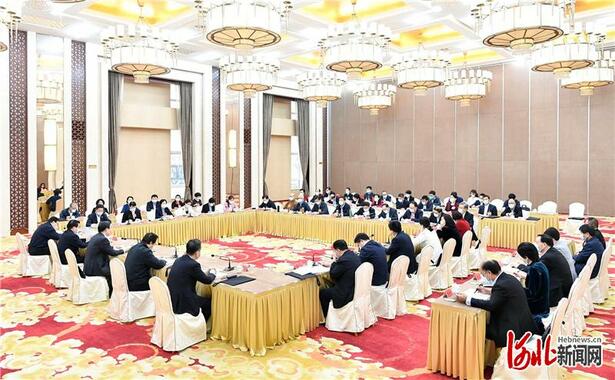 河北省代表团审议全国人大常委会工作报告和“两高”报告