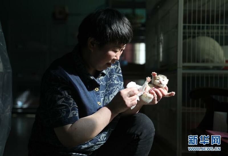 图片默认标题_fororder_1