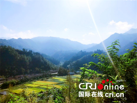 活動 活動_fororder_圖片7_副本