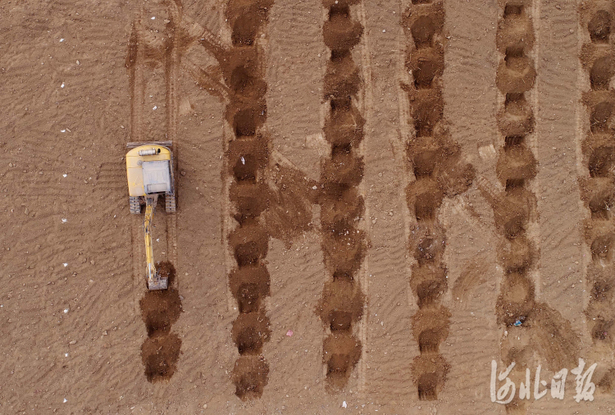 河北：春日植绿正当时