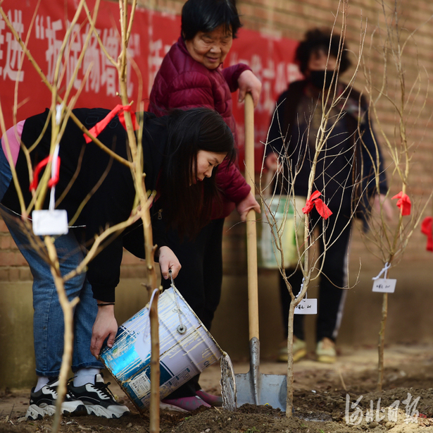 河北：春日植绿正当时