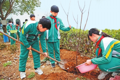 河南省2021年造林任務完成過半