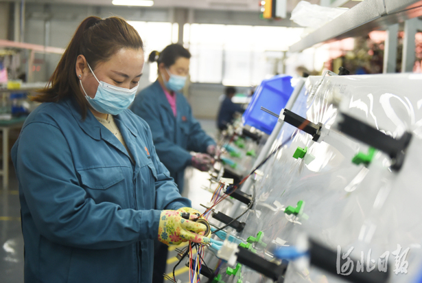 河北曲周：提升企业科技创新能力