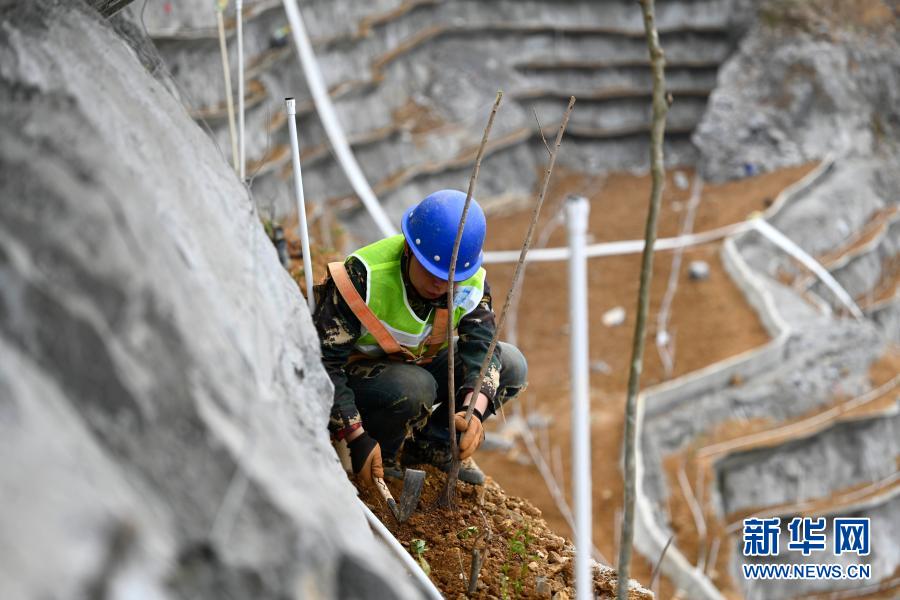 广西柳州：峭壁上的“植绿人”