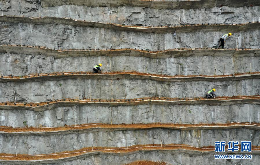 廣西柳州：峭壁上的“植綠人”