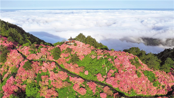 麻城：大别山区老城“颜值”一新_fororder_06