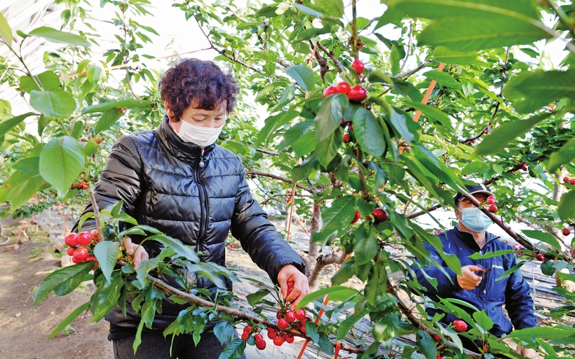 吹響總攻衝鋒號——白山市決戰脫貧攻堅紀實