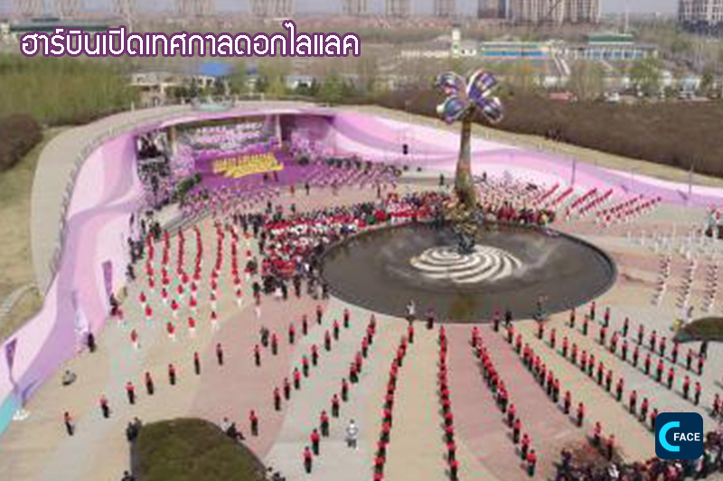 图片默认标题_fororder_09_1