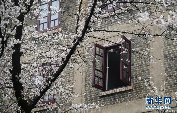 무한대학 예약 관광객 맞이_fororder_2021-0311-4