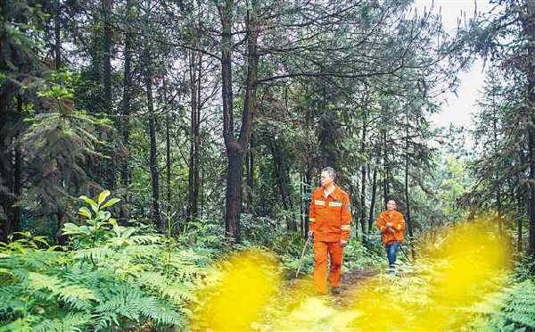 重慶：林長治山“林長治”