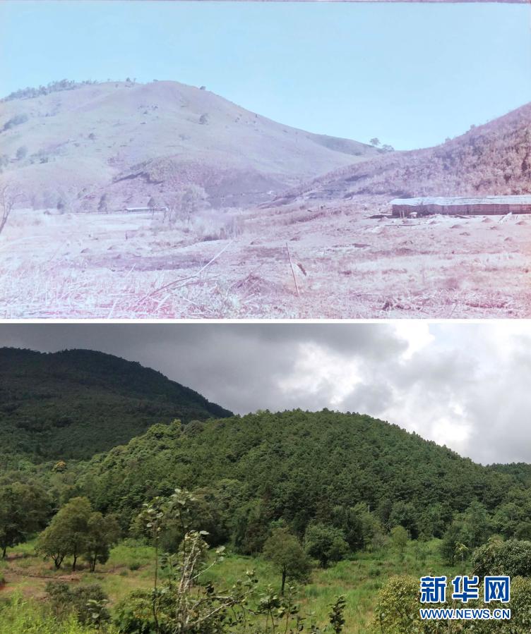 Tanggal 12 Maret Adalah Hari Tanam Pohon Nasional_fororder_zs20