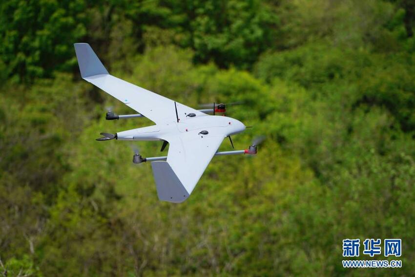 Tanggal 12 Maret Adalah Hari Tanam Pohon Nasional_fororder_zs15