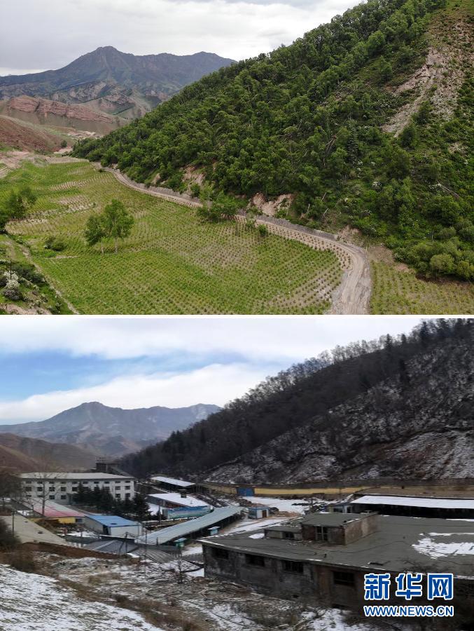 Tanggal 12 Maret Adalah Hari Tanam Pohon Nasional_fororder_zs19