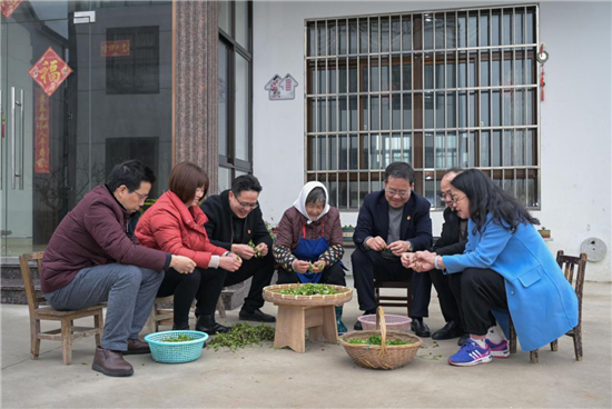 （B 区县）苏州昆山市张浦镇财政开展“学史力行服务先锋队”党建联盟活动