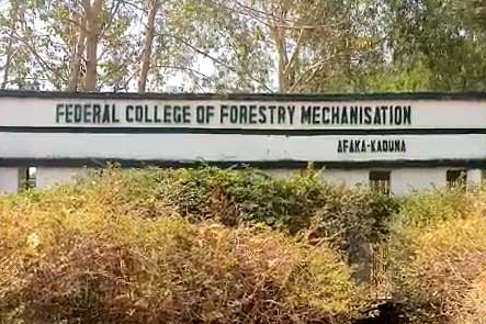 尼日利亚再次发生恶性学校绑架事件 30名学生下落不明