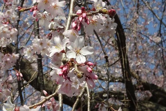 图片默认标题_fororder_104382144