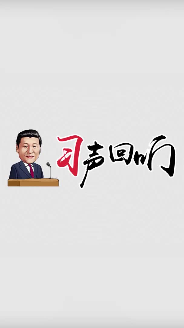 习声回响两会下团组总书记殷切嘱托这些事