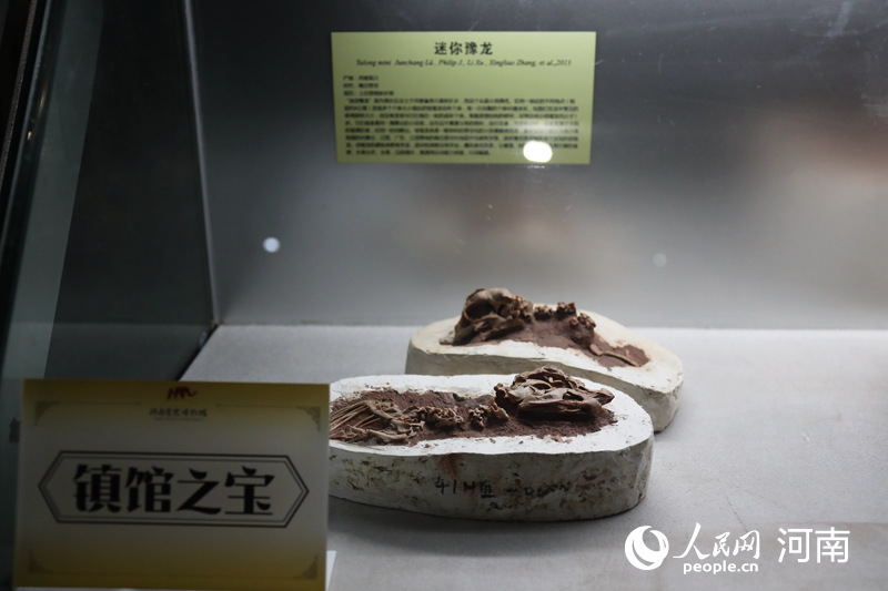 堪稱絕品 河南自然博物館發佈首批十大鎮館之寶