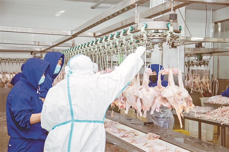 智能+生产线 互联网+销售 大数据+研发 龙江“老字号”玩转新思维赢得新市场