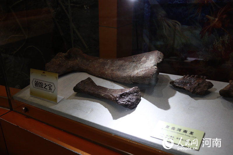 堪稱絕品 河南自然博物館發佈首批十大鎮館之寶