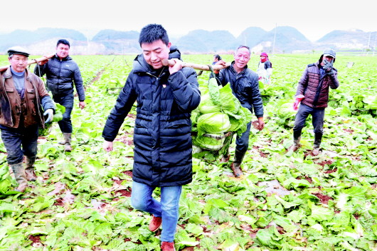 （大扶贫）明华:实干赢得信任　汗水浇灌梦想