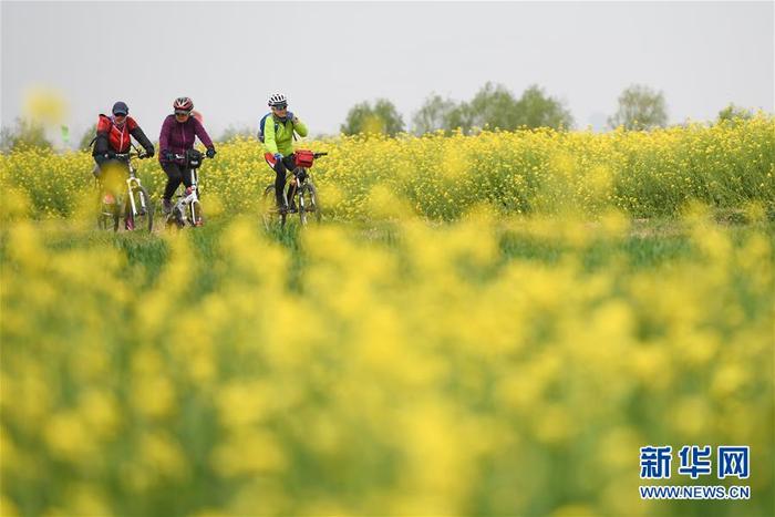 图片默认标题_fororder_1125760661_15850345234431n