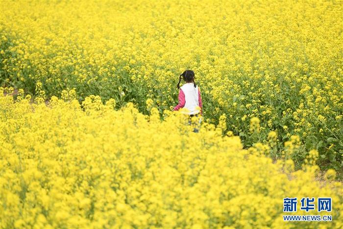 图片默认标题_fororder_1125760661_15850345234111n