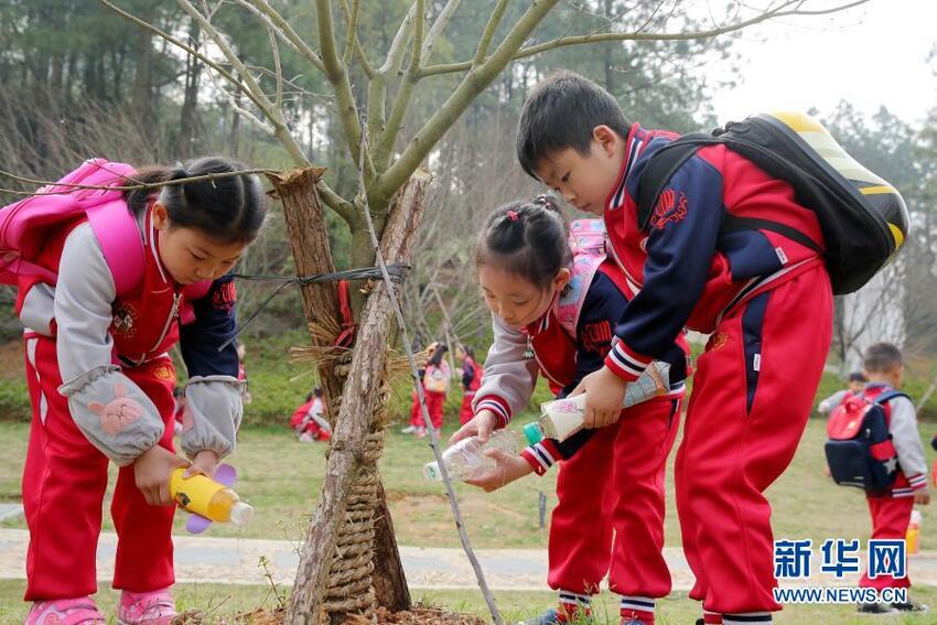 Mari Menanam Pohon Bersama-sama_fororder_1127202802_16155174268161n