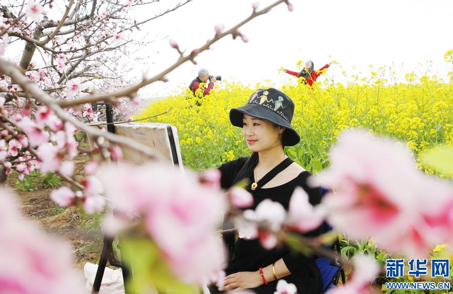 河南尉氏：万亩桃花盛开 游客纷至沓来_fororder_4