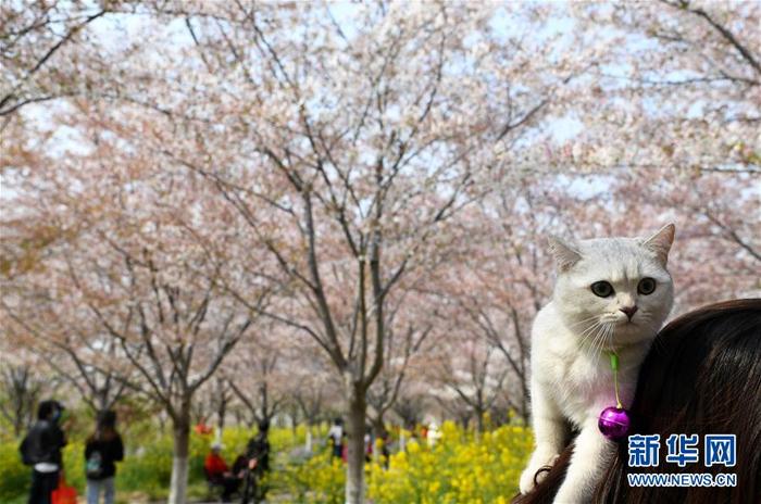 图片默认标题_fororder_1125762270_15850527516281n