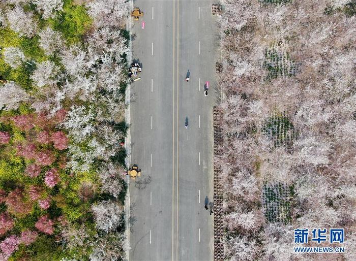 图片默认标题_fororder_1125762270_15850527514781n