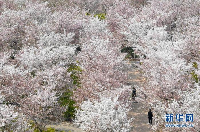 图片默认标题_fororder_1125762270_15850527516631n